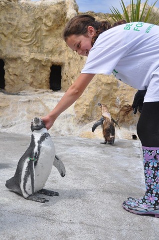 [Mia%2520with%2520Penguin%2520DSC_0809%255B9%255D.jpg]