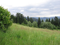 IMG_3942.JPG