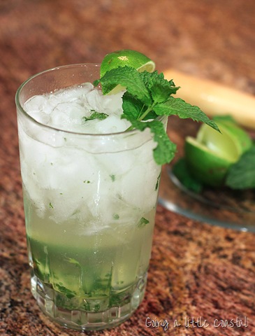 [mojito3_edited116.jpg]
