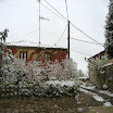 2013-sotosalbos-nieve10.jpg
