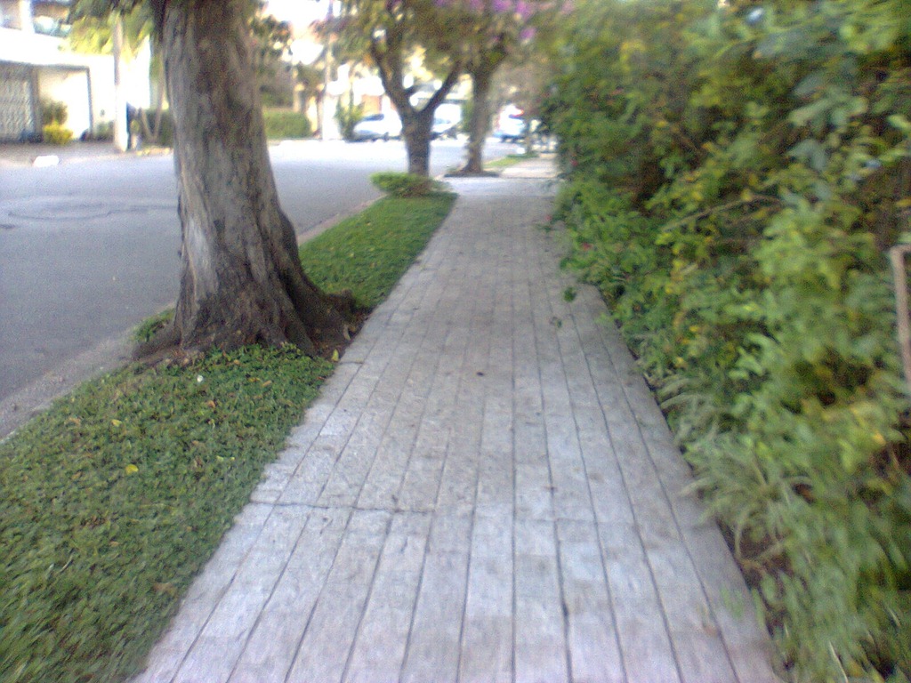 [Foto0001%255B6%255D.jpg]