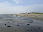 IMG_20120708_073013.jpg