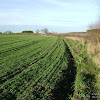 dsc07463.jpg