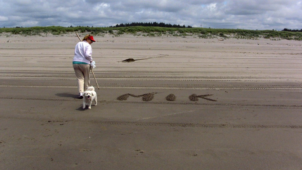 [IMG_0227%255B5%255D.jpg]