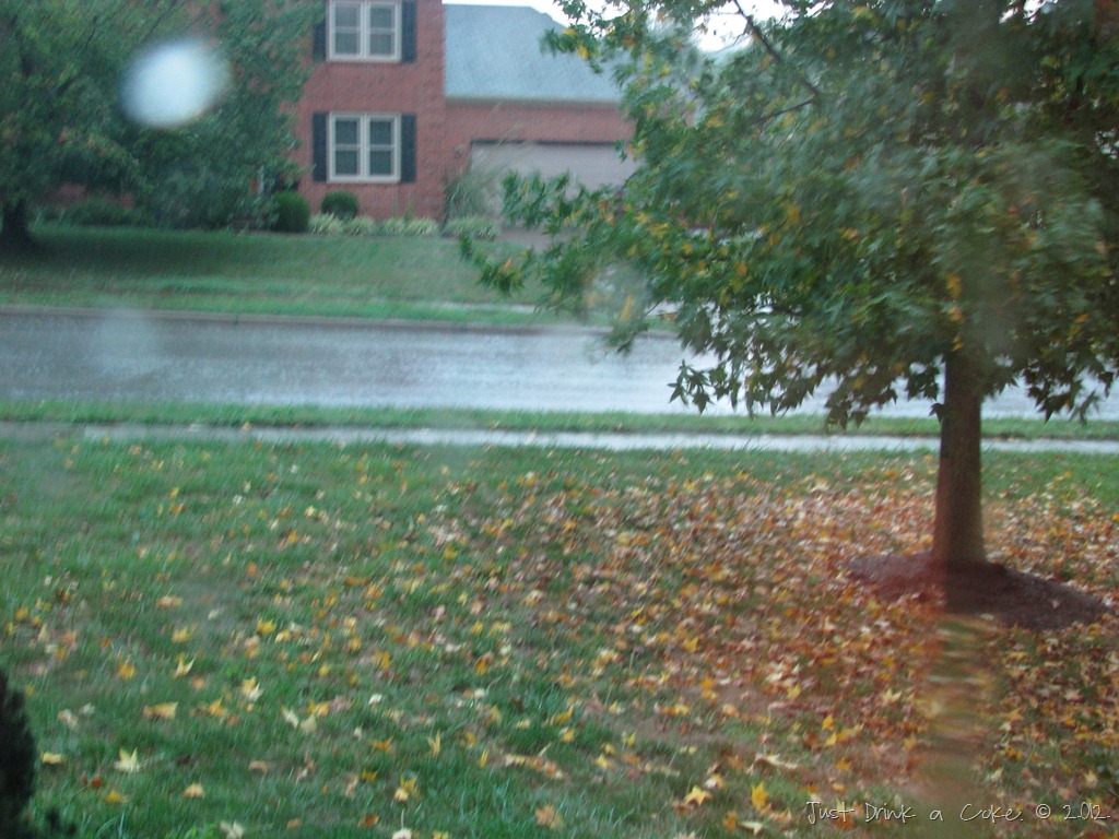 [storm%2520%25281%2529%255B3%255D.jpg]