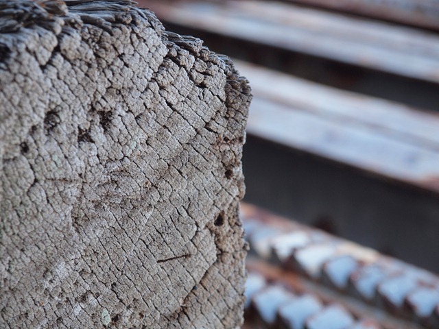 [weathered%2520wood%255B7%255D.jpg]