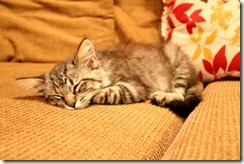 IMG_0066 IMG_0066
