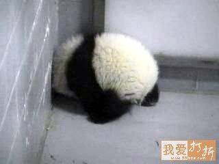 [clip_image016%255B5%255D.jpg]