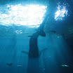 me and B trip to boston and ga aquarium 133.JPG