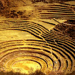 Moray terraces