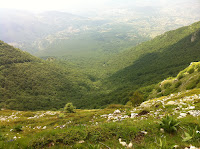 IMG_1379.JPG Photo