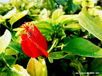 2012-01-01 15.48.18.jpg