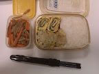 IMAG0222.jpg