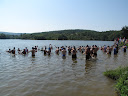 IMG_3870.jpg