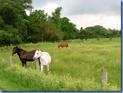 4801 St. Jacobs Farmers' Market - St Jacobs Horse Drawn Tours to Matthew Martin's Old Order Mennonite Farm