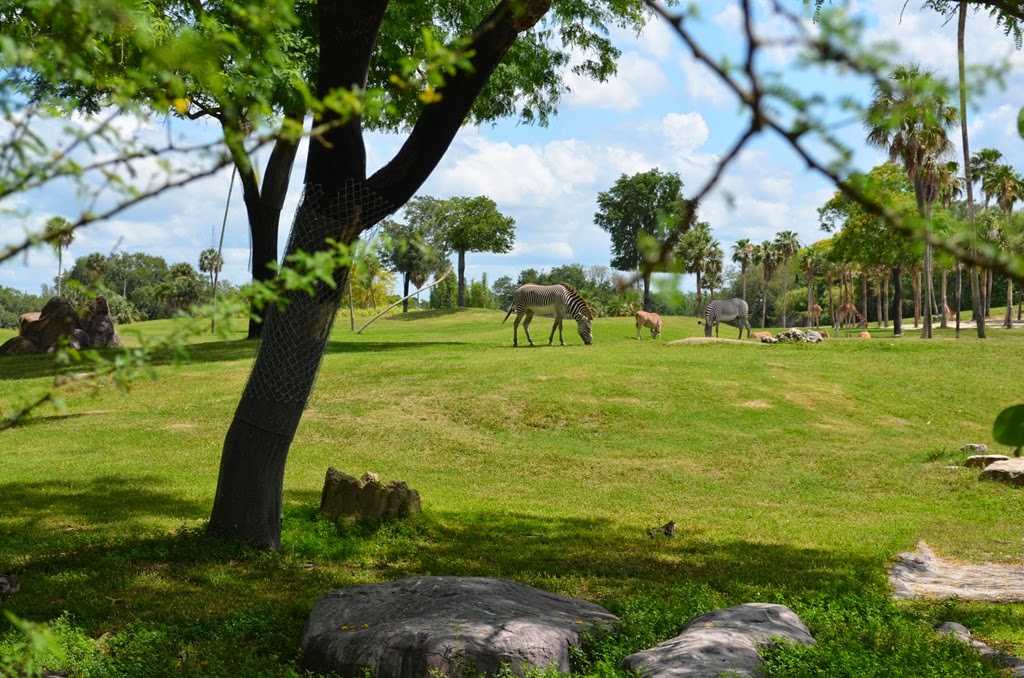 [DSC_8812%255B3%255D.jpg]