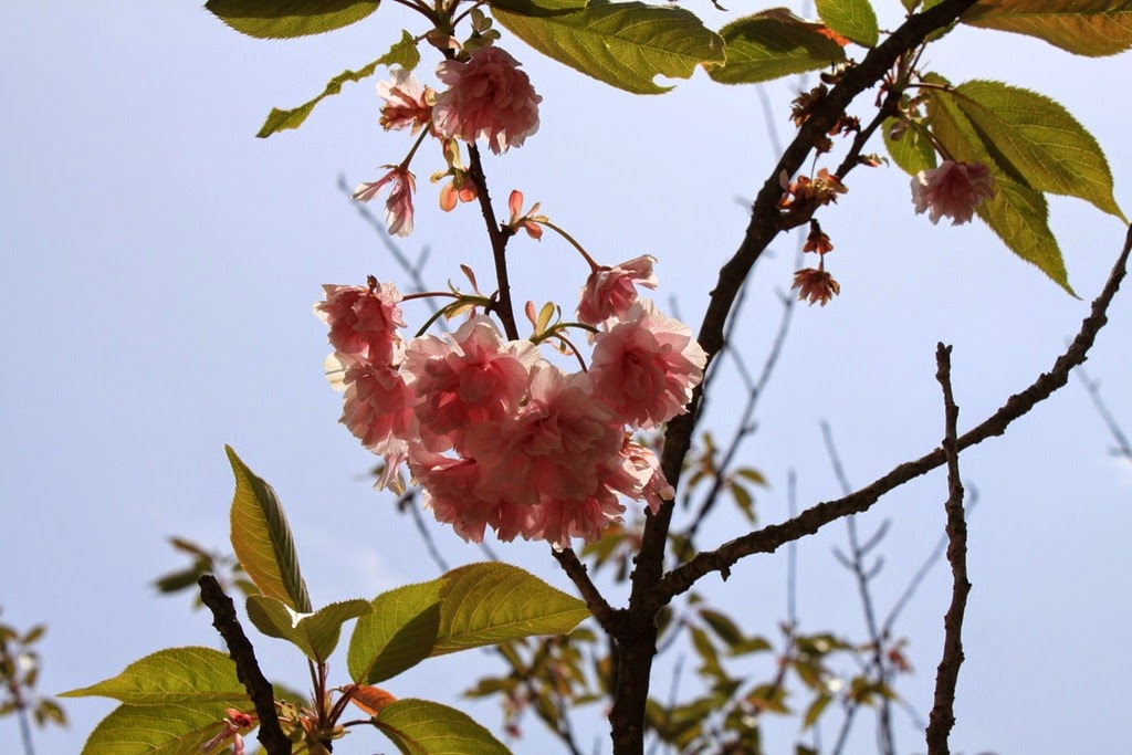 [2014_Day6_545.jpg]