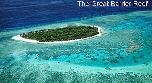 The Great Barrier Reef The Great Barrier Reef