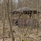 singold-bote_waldlehrpfad-schwabegg_025.jpg