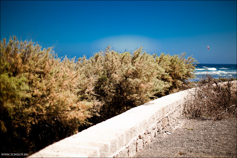 038 www.ychilov.ru foto tenerife.jpg