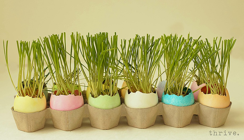 [Easter%2520Egg%2520Wheat%2520Grass%2520Centerpiece%2520from%2520THRIVE.16%255B13%255D.jpg]