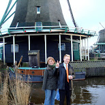 the zaanse schans in zaandam in Zaandam, Noord Holland, Netherlands