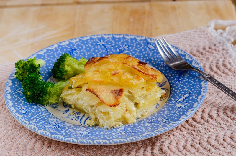 fennel scalloped potatoes-13286 fennel scalloped potatoes-13286