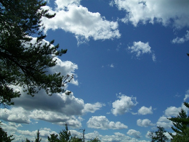 [101_21512.jpg]