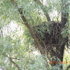 DSCN9680.JPG