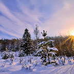 2011-snejinka-87.jpg