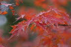 DSC03973.JPG