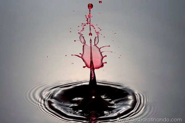 liquid-drop-art-gotas-caindo-foto-velocidade-hora-certa-desbaratinando (53) liquid-drop-art-gotas-caindo-foto-velocidade-hora-certa-desbaratinando (53)