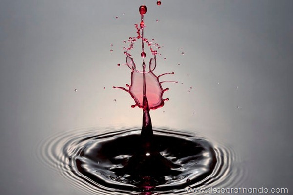 liquid-drop-art-gotas-caindo-foto-velocidade-hora-certa-desbaratinando (53)