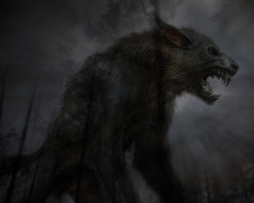 [wallpapers-terror-2%255B3%255D.jpg]