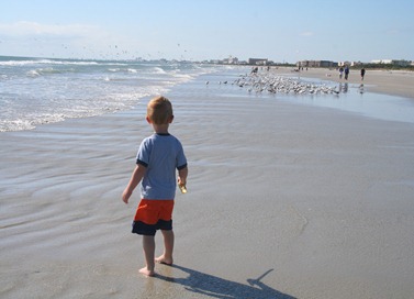 IMG_5073 IMG_5073