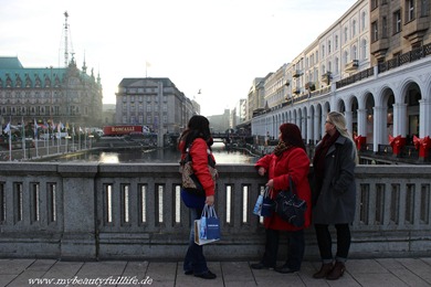 IMG_5635 IMG_5635
