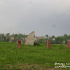 dsc00972.jpg