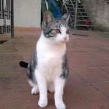 13122010043.jpg