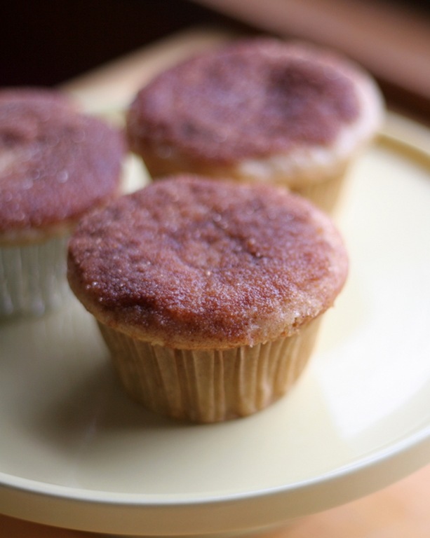 [cinnamon%2520buttermilk%2520muffins%25201%255B1%255D.jpg]