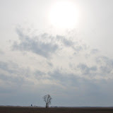 "Lone Prairie" - copyright David Thompson