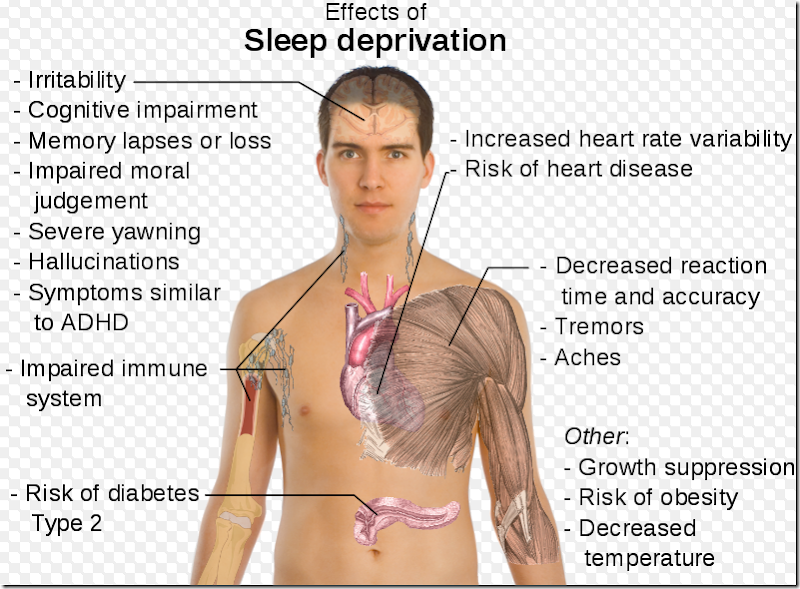 not enough sleep not enough sleep