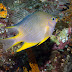 P7014054