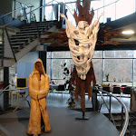 DSC08076.JPG