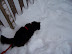 Playing in the Snow