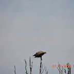 DSCN9665.JPG