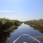 IMG_5713.JPG
