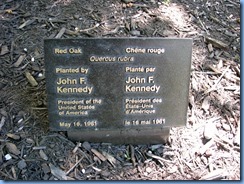 6453 Ottawa 1 Sussex Dr - Rideau Hall - red oak planted by John F Kennedy 6453 Ottawa 1 Sussex Dr - Rideau Hall - red oak planted by John F Kennedy