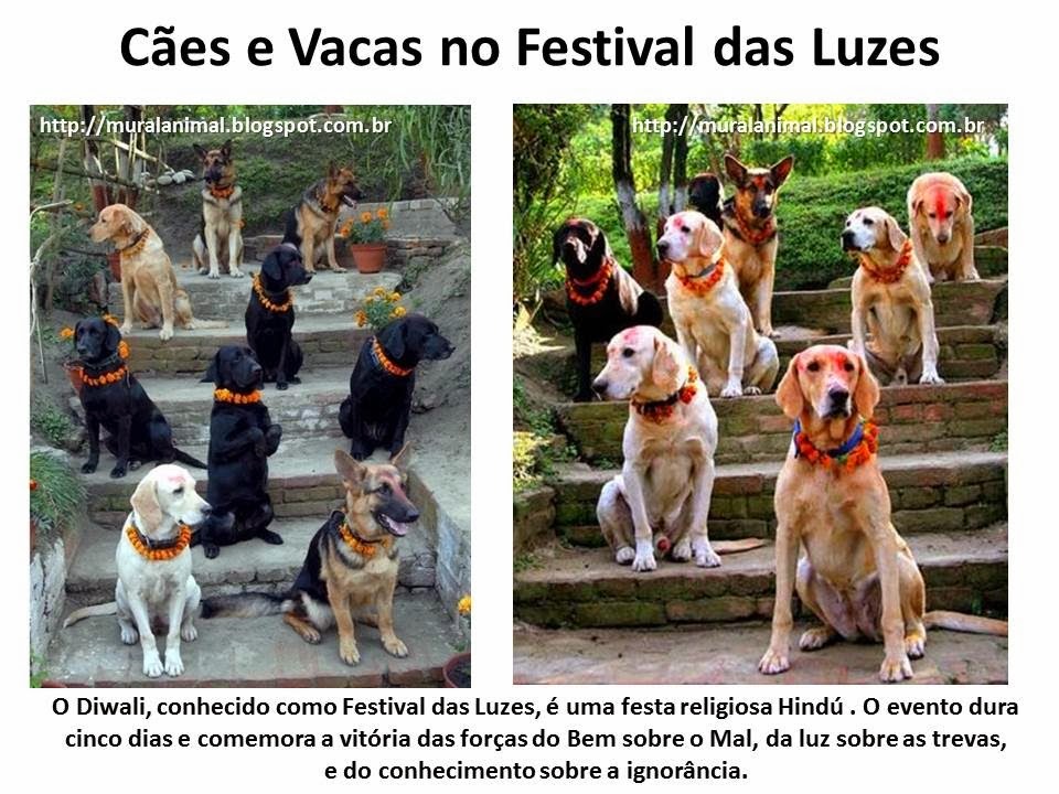 [Slide2%255B3%255D.jpg]