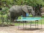 Croq Camp, South Luanga Nationalpark