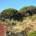 Parc Can Muntanya